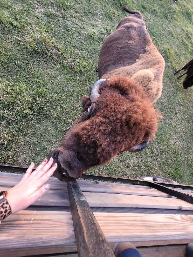 Why Lazy G Ranch Deserves A Spot On Your Tennessee Road Trip