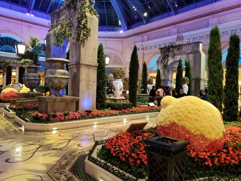 The Flowers, Colours, Scents, And Sounds Are Part Of The Experience
