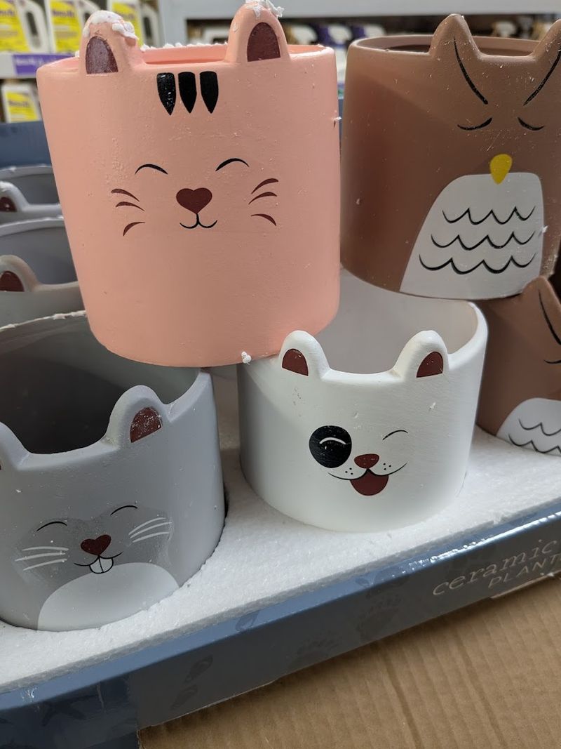 Gifts And Pottery That Steal The Show
