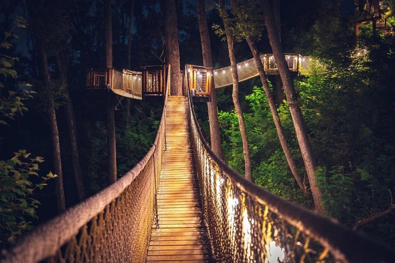 Walk A Suspended Treetop Bridge Through The Smoky Mountains At Anakeesta