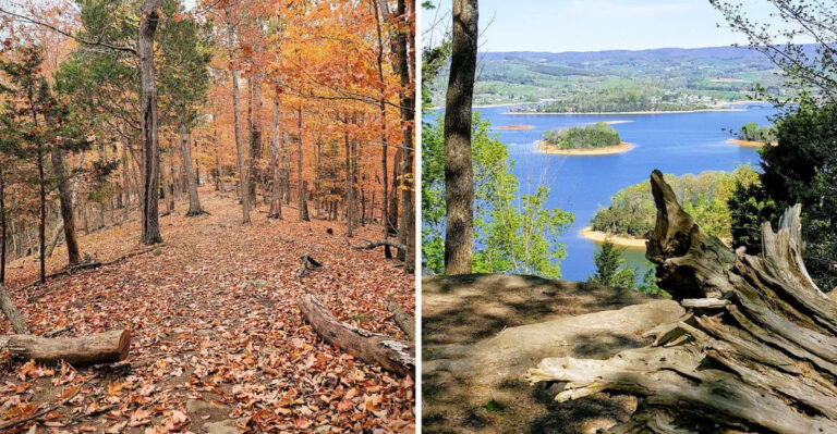 Families Are Falling In Love With This Gorgeous Tennessee State Park And Its Miles Of Picturesque Trails