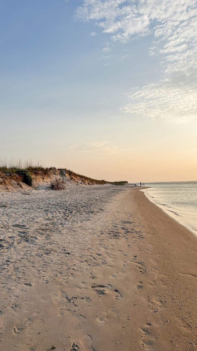 Preserving The Natural Beauty Through Conservation Efforts