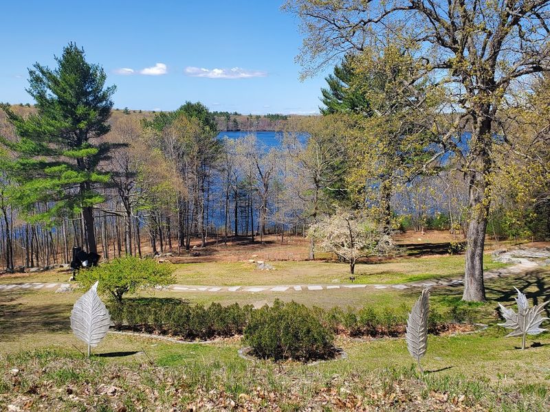 Flint's Pond And The Natural Landscape As Part Of The Experience