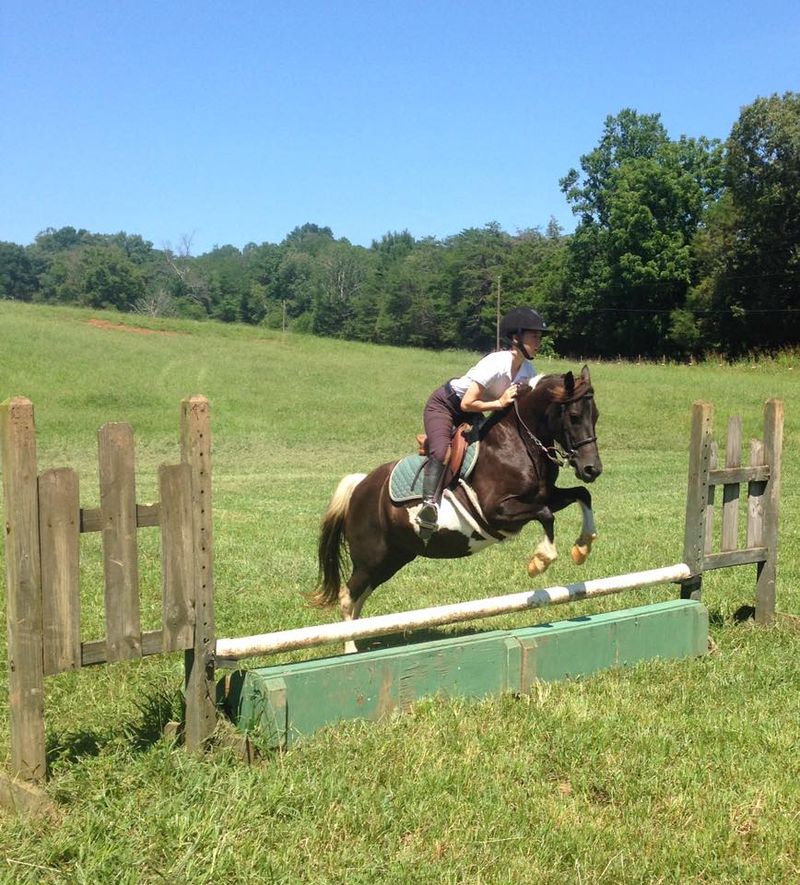 National Horse Camp For Young Riders