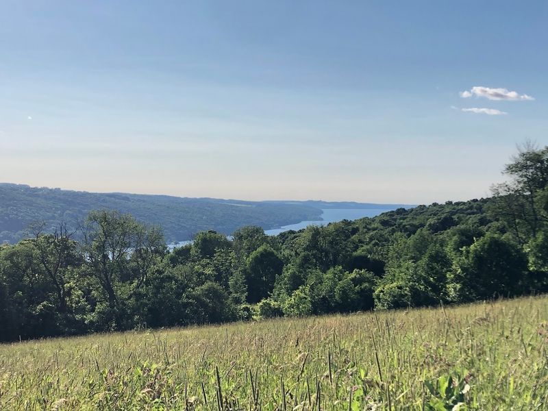 Hinchcliff Family Preserve