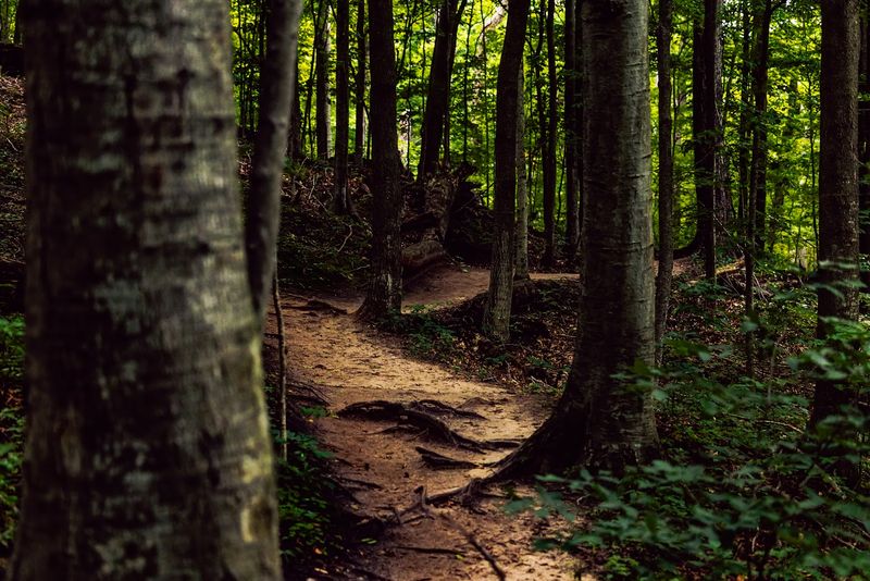Scenic Hiking Trails And Nature Walks