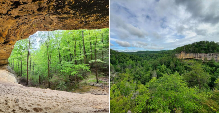 Few People Know This Serene Natural Preserve In Tennessee Even Exists