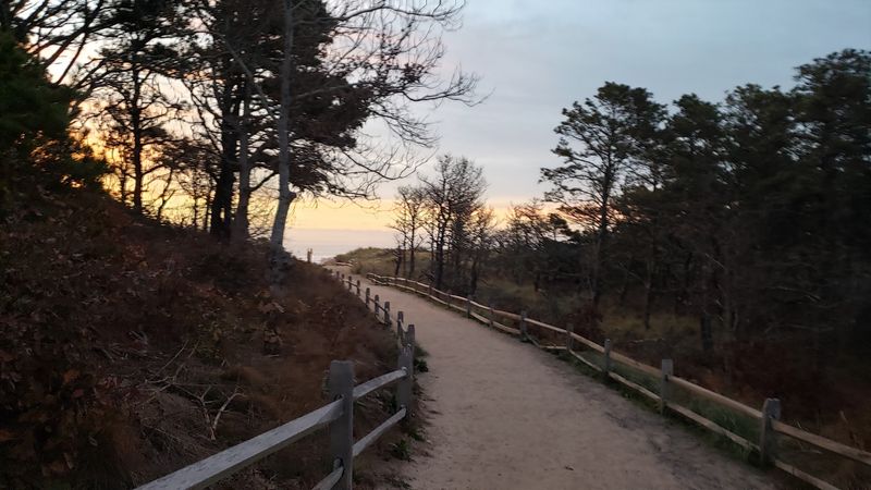 The Cape Cod Rail Trail Connects The Whole Outer Cape By Bicycle