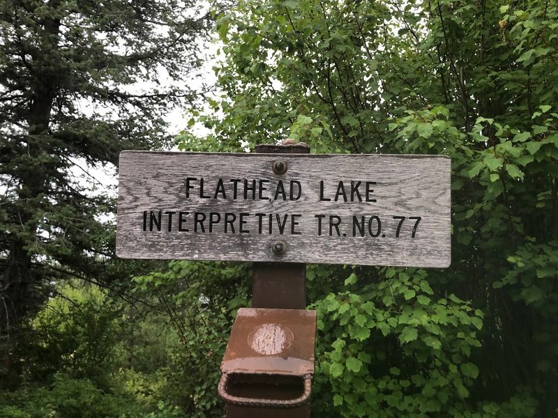 Nearby Hiking Trails And Picnic Spots