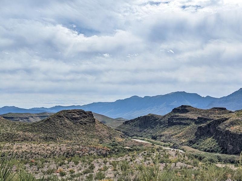 Bird Watching In Rare Undisturbed Ecosystems