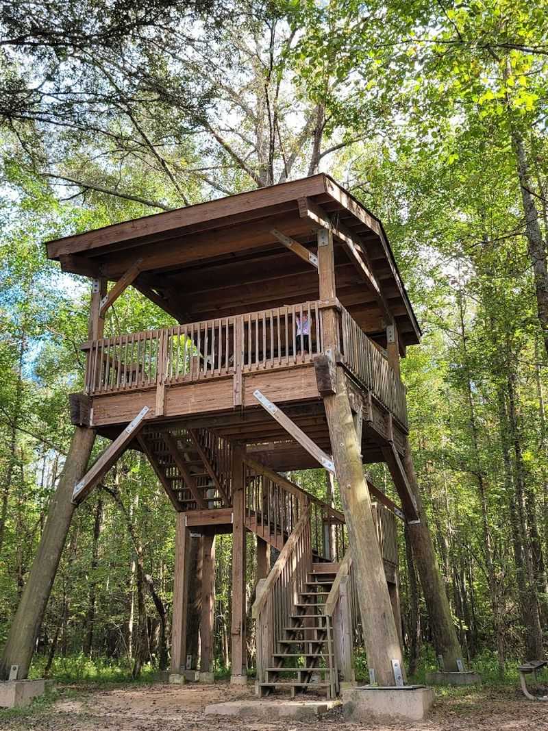 Wildlife Viewing Opportunities Available
