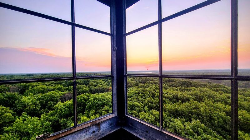 Wildlife Sightings And Habitat Preservation