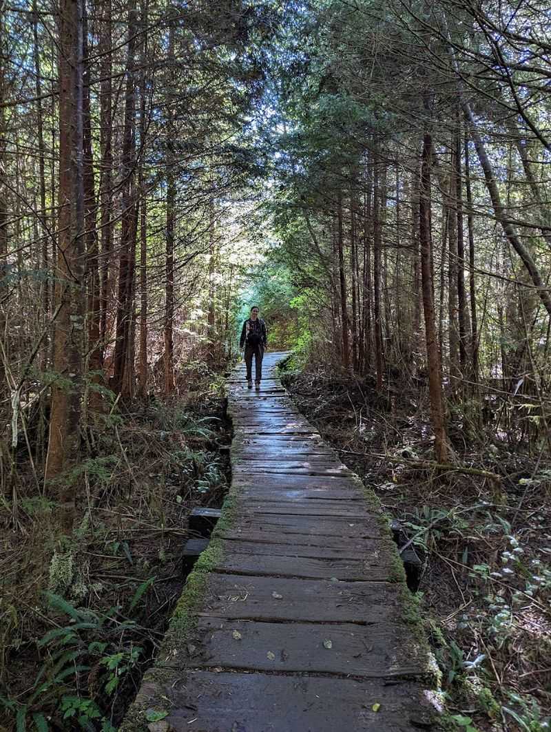 Planning Your Visit For Maximum Scenic Enjoyment