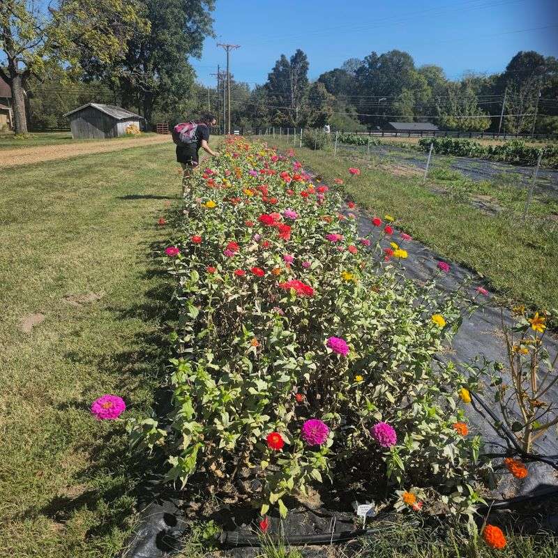 By Faith Farm, Joelton