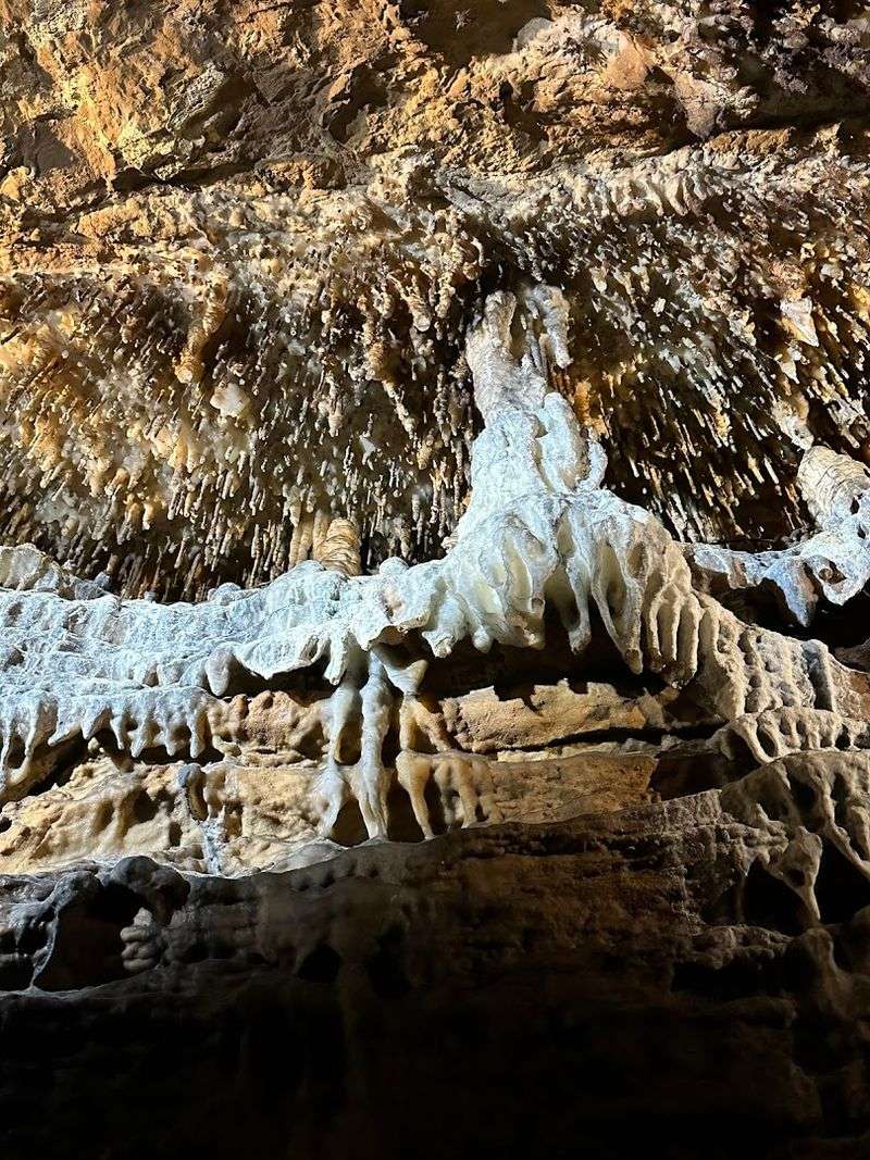 Unique Flora And Fauna Found In Subterranean Waters