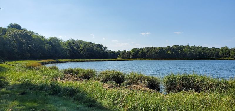 Kettle Ponds Offer A Freshwater Alternative To Ocean Beaches