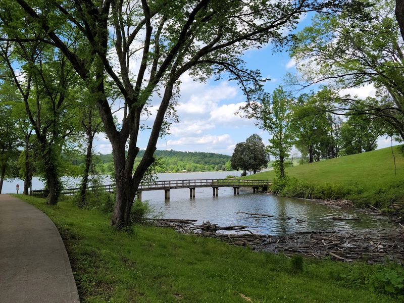 The Betty Brown Memorial Walking Trail And Shoreline Solitude