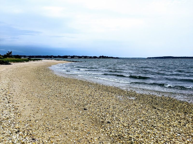 Shell Beach