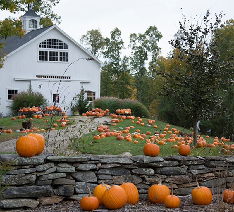Devon Point Farm
