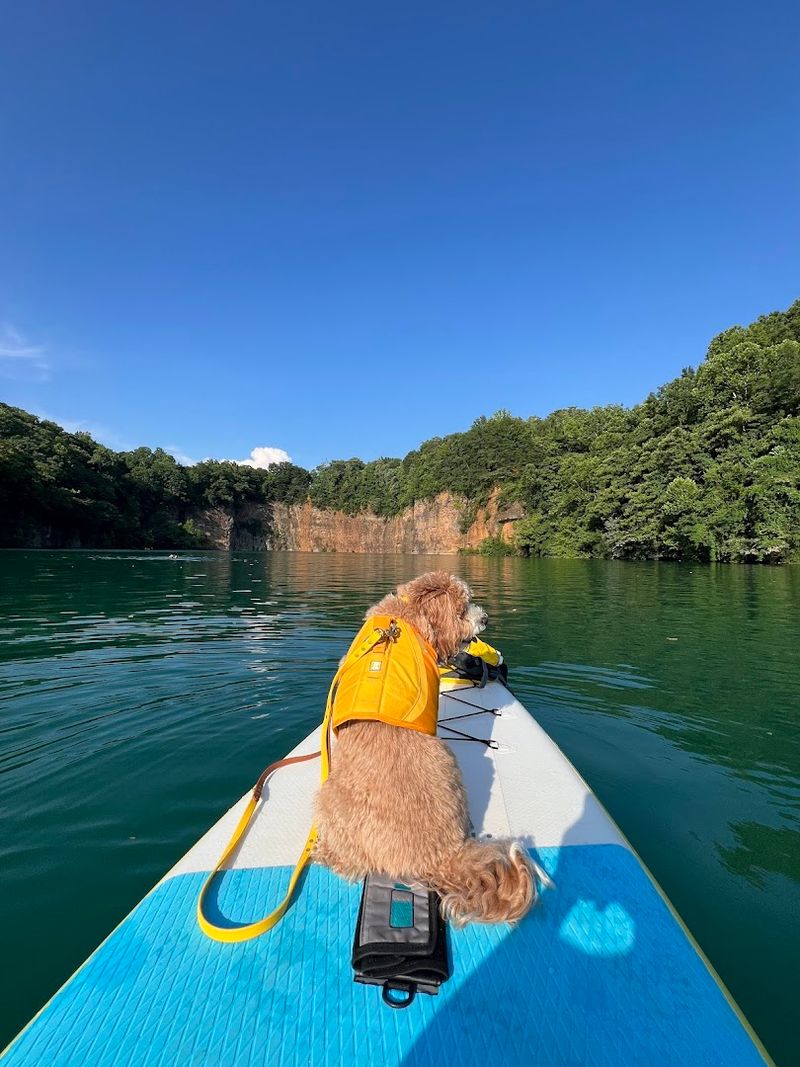 Paddleboard And Tube Rentals Right At The Water's Edge