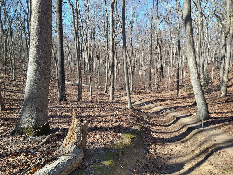 Five Miles Of Trails Built For Every Kind Of Walker