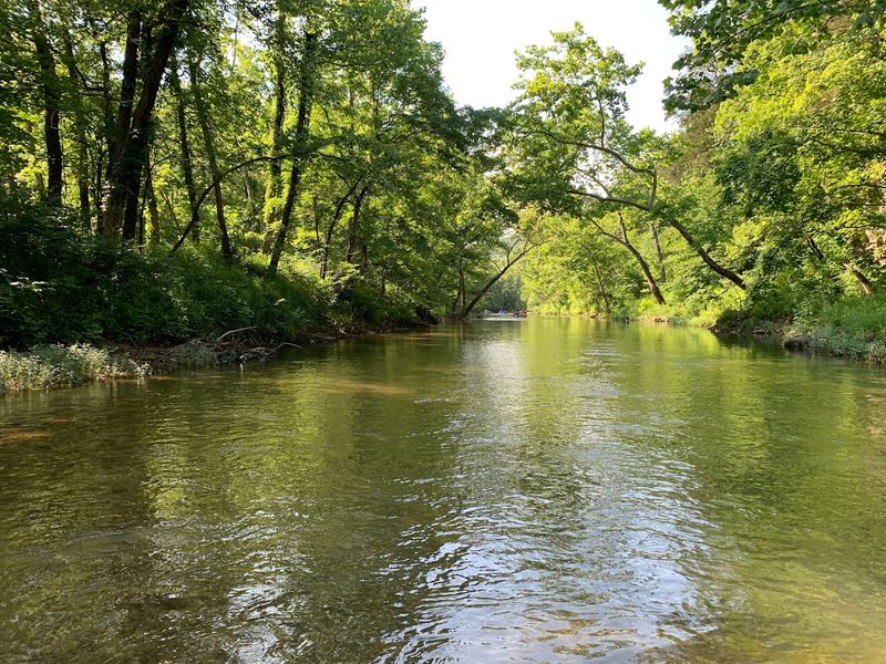 Courtois Creek