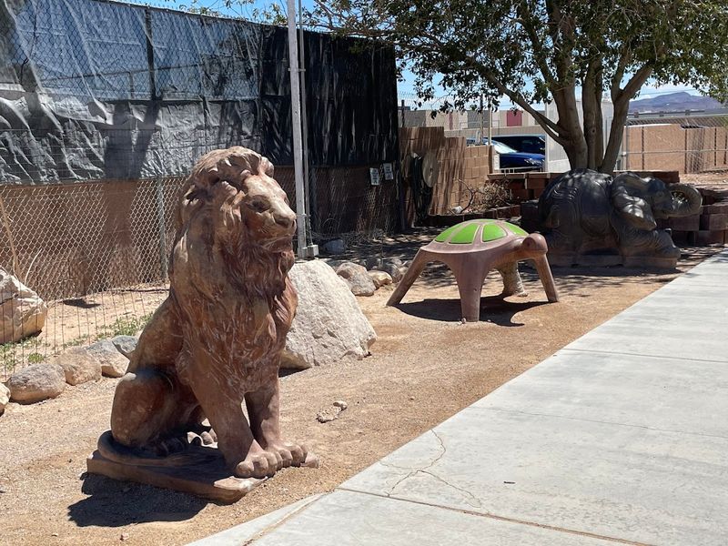 The Ranch Focuses On Education About Big Cats