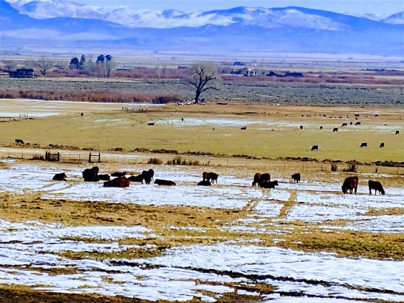 River Fork Ranch Offers A Peaceful Nature Stop Nearby