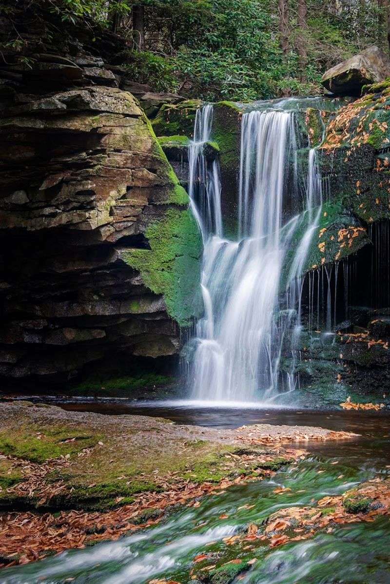 Flora And Fauna Around The Waterfall Ecosystem