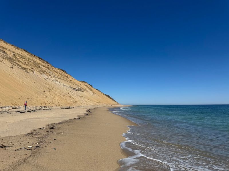 A Shoreline That Feels Genuinely Wild And Unhurried