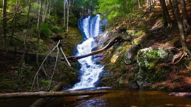 The Tannery Falls Trail Experience