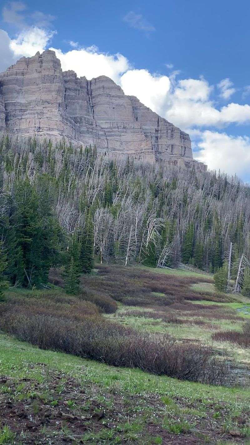 Togwotee Pass