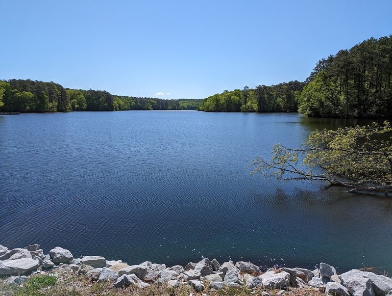 Natchez Trace State Park, Wildersville