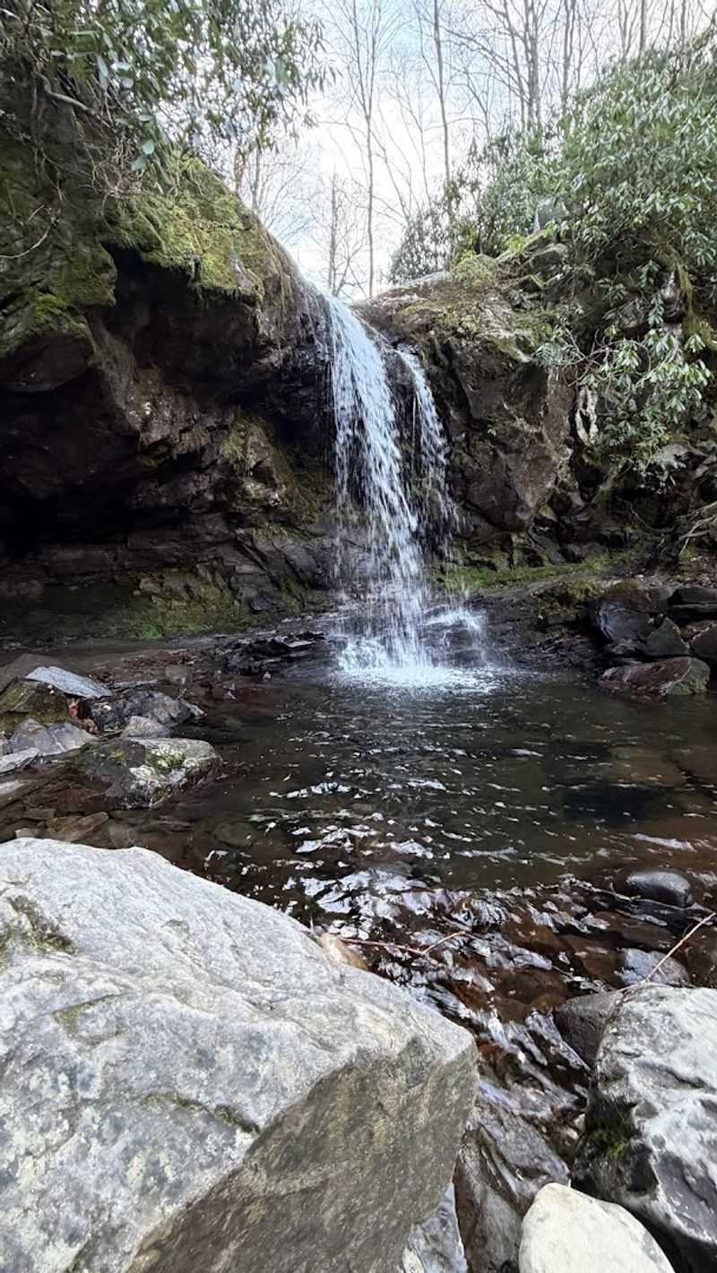 Rainbow Falls Trail Begins Before The Loop Even Starts