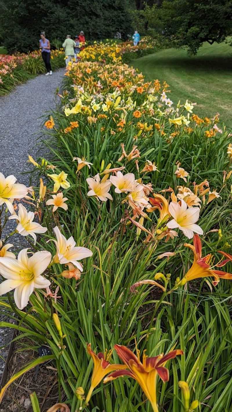Seasonal Events Like SpringFest And The Harvest Festival Add Extra Excitement