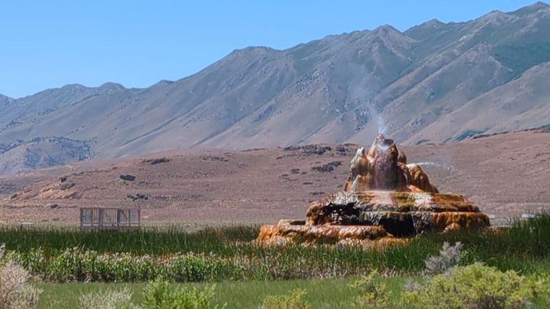 The Area Includes Wetlands, Wildlife, And Art