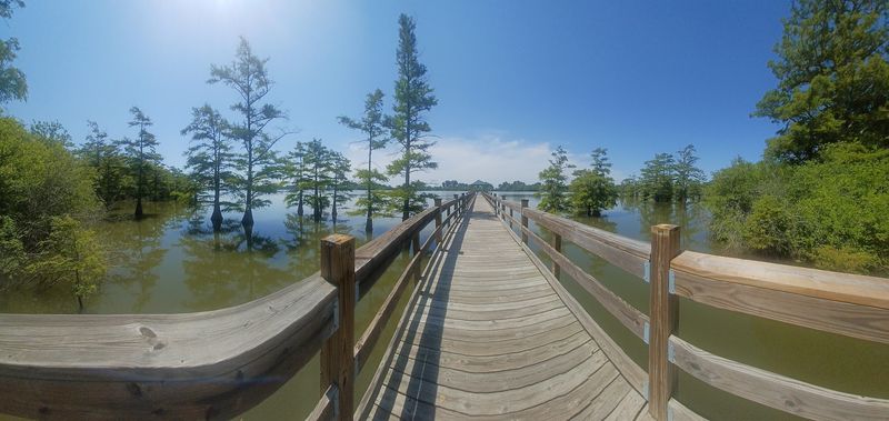 Moon Lake Scenic Drive On MS-1