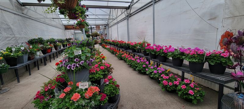 Annuals, Perennials, And Vegetables Fill The Space