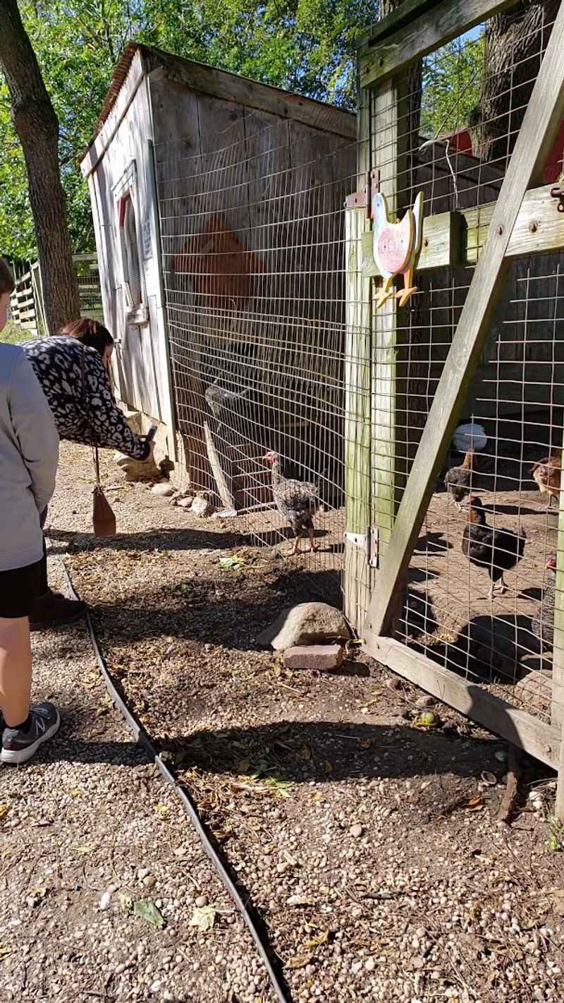Benner's Farm