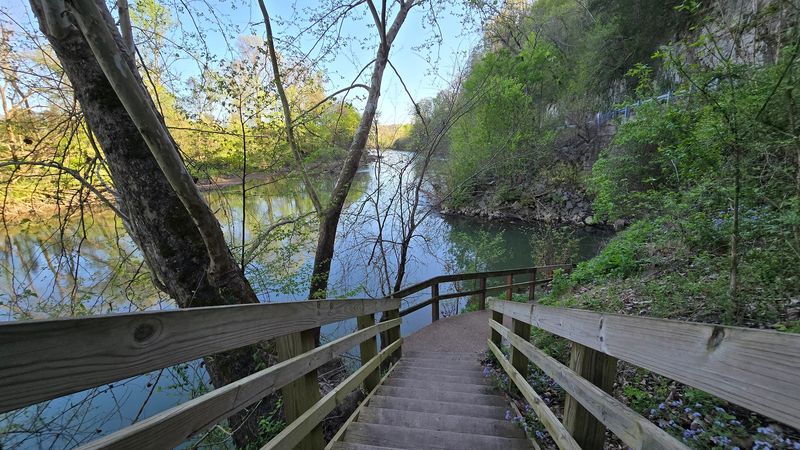 Bluebird Trail And The Storybook Experience For Families