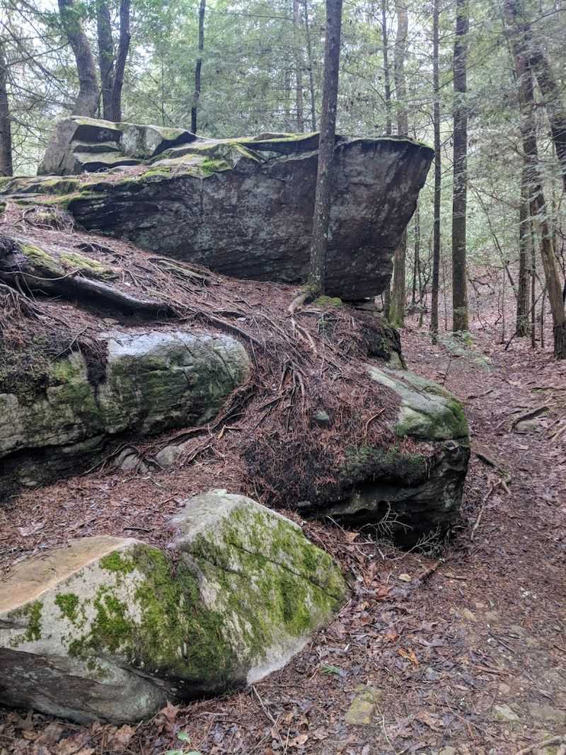 Virgin Falls State Natural Area (Lower Loop), Sparta
