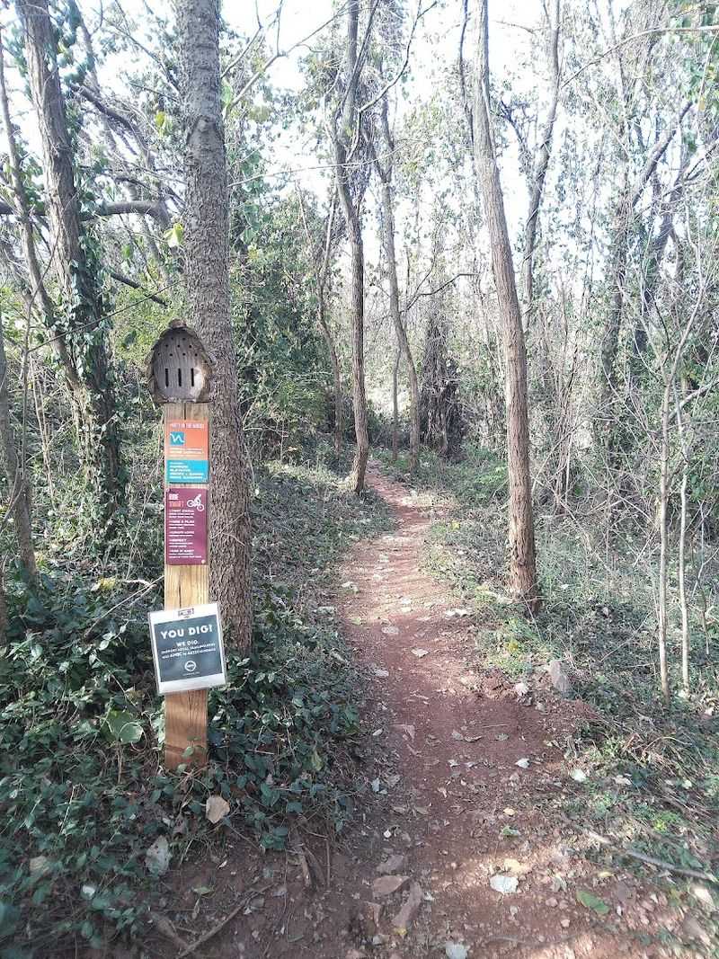 Explore Knoxville's Urban Wilderness By Bike