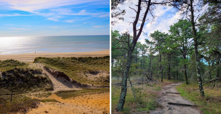 Hiking This Trail In Massachusetts Is Like Entering A Fairytale