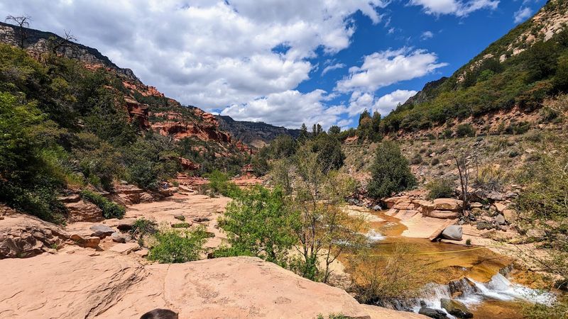 Preservation Efforts And Environmental Impact