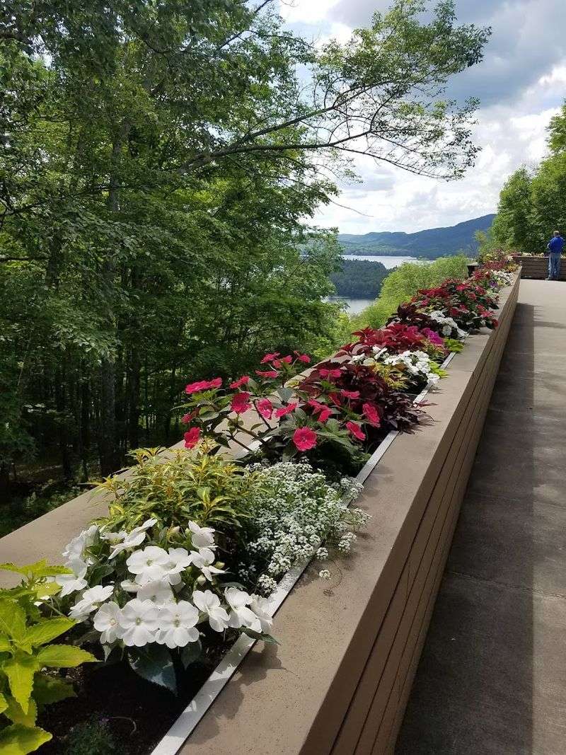 Adirondack Lakes Center For The Arts: Culture In The Wilderness