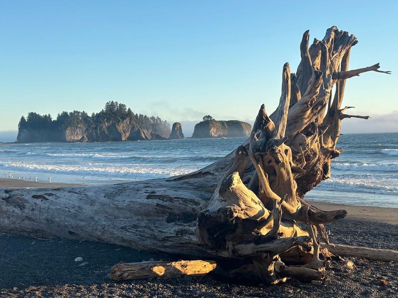 Rialto Beach