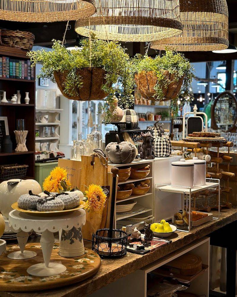 The Anthropologie Vibe That Surprises Every First-Time Visitor