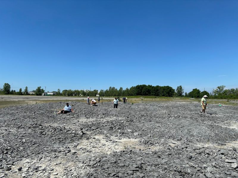 Penn Dixie Fossil Park And Nature Reserve
