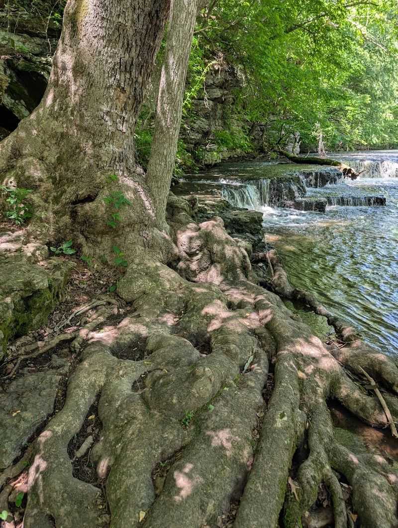 Ancient Hemlock Trees And Rock Formations That Frame The Landscape