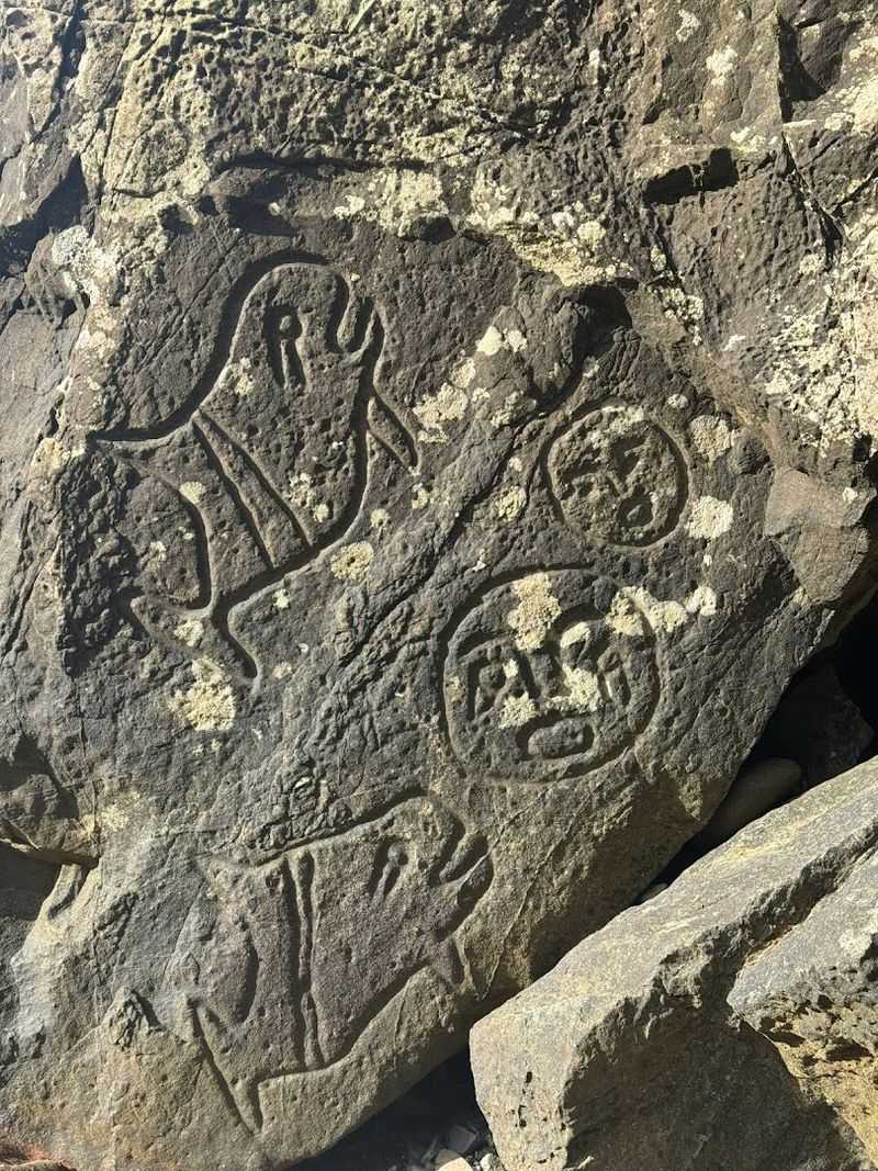 Ancient Petroglyphs Along The Coast